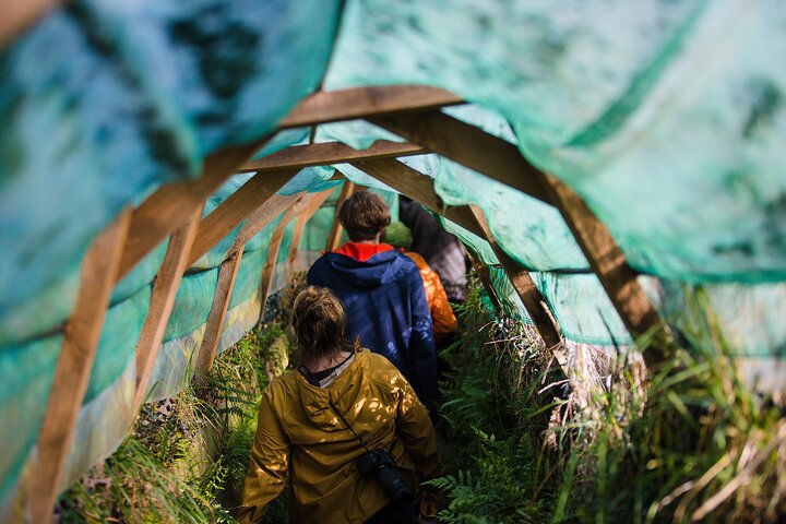 Otago Peninsula Wildlife Tour & Cruise - Photo 1 of 12